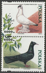 3364+3366 parka pionowa czysta**